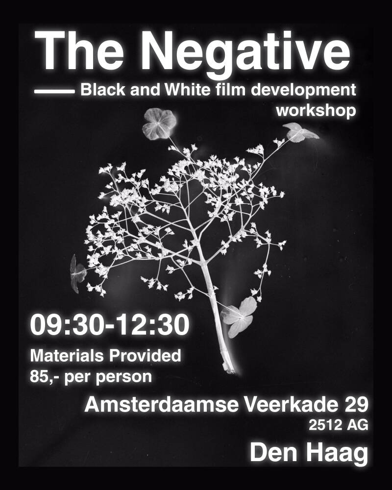 The Negative — Doka Americaine
